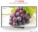 VGA-VGA ディスプレイケーブル 1.4m GXF-2988