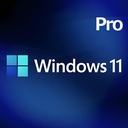 Microsoft Windows 11 Pro professional 正規プロダクトキー 日本語対応　認証保証　新規インストール版 マイクロソフト